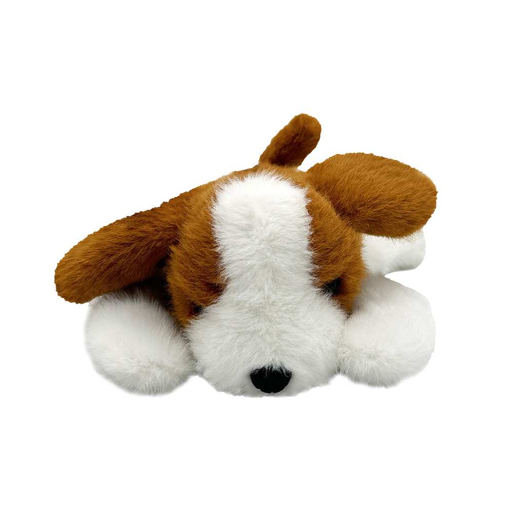 Peluche